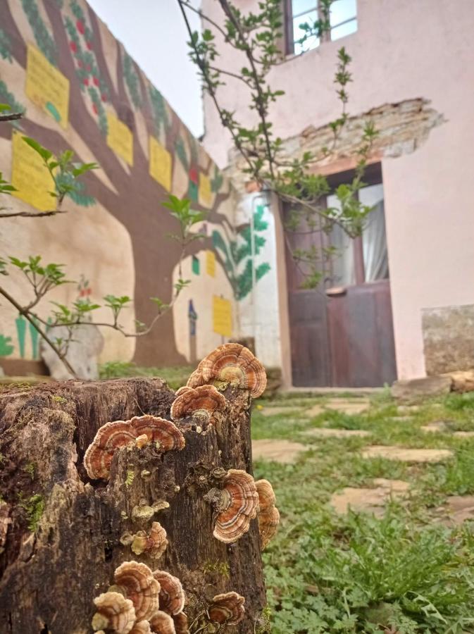 Albergue Eco El Beso - Vegano Triacastela Exterior foto